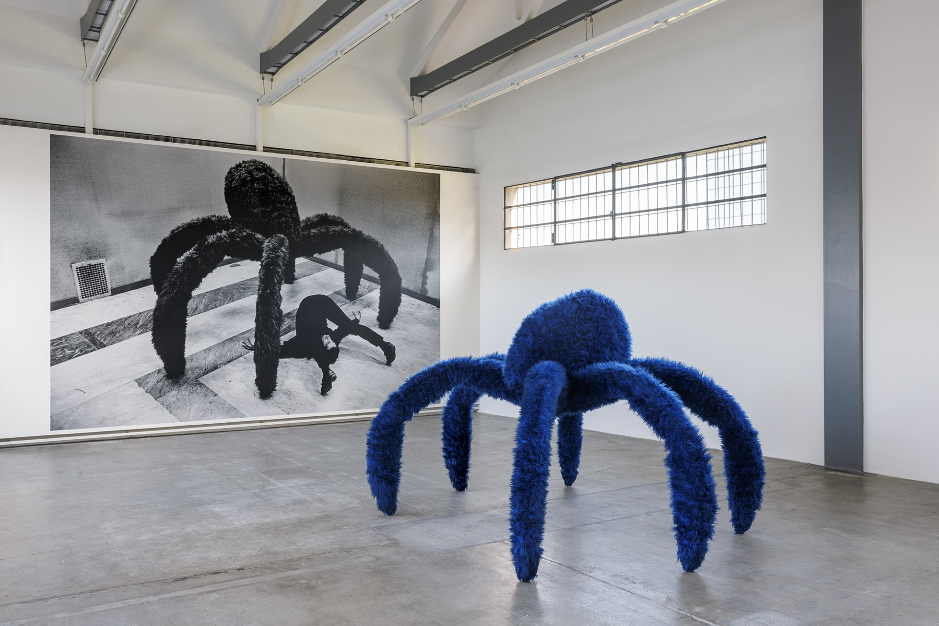 Милан 2024: большая ретроспектива Пино Паскали в Fondazione Prada